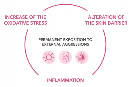 Premature aging skin schema